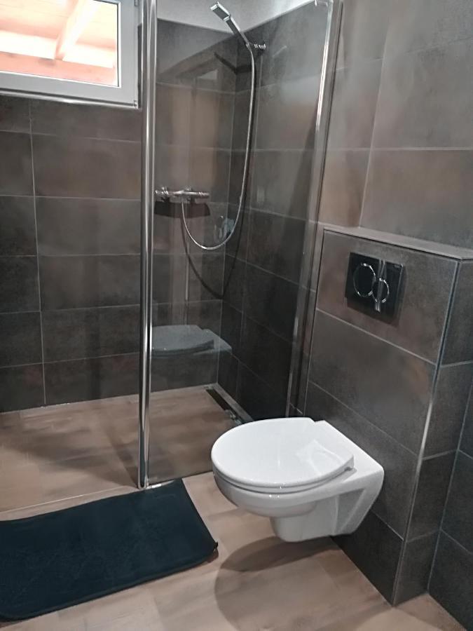 Apartmany Dana Horni Branna Extérieur photo